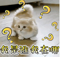 圖片.png 圖片.png